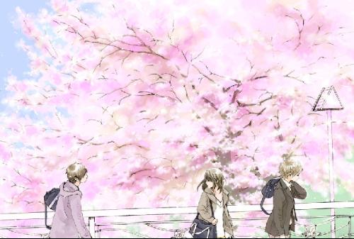 探花网